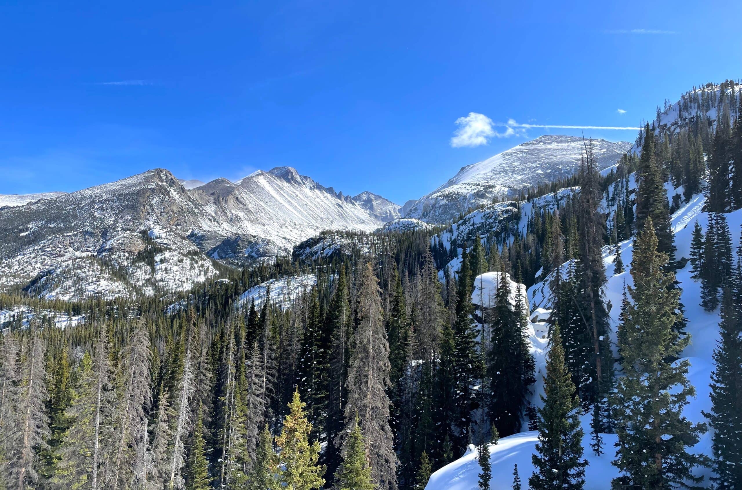 A winter scene in RMNP