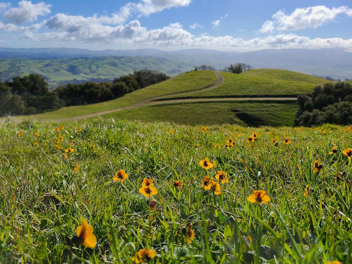 east bay hikes - Pleasanton Ridge