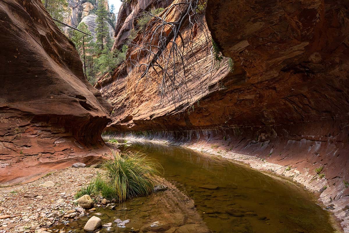 easy sedona hikes - west fork trail