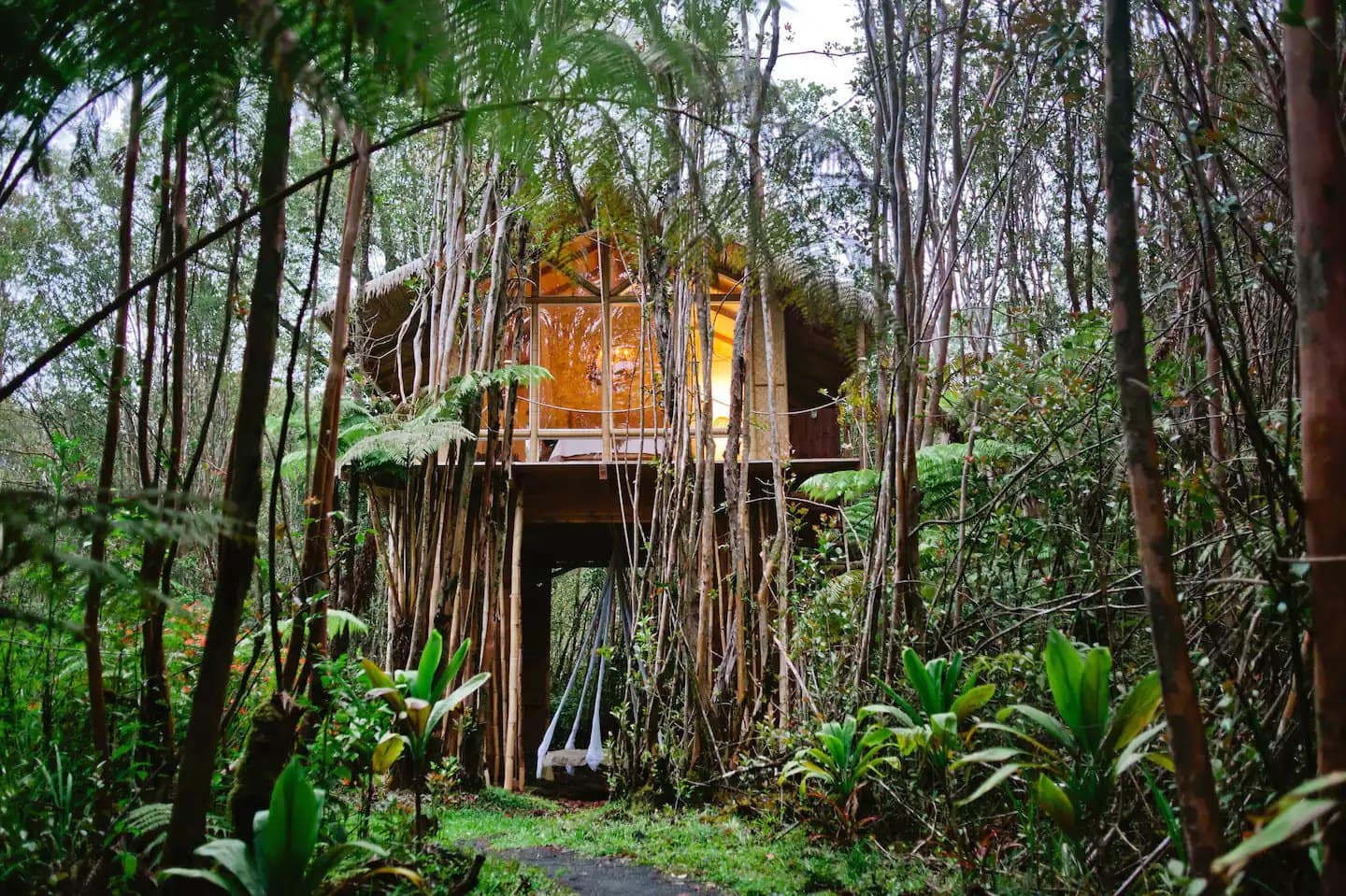 Dreamy Tropical Tree House