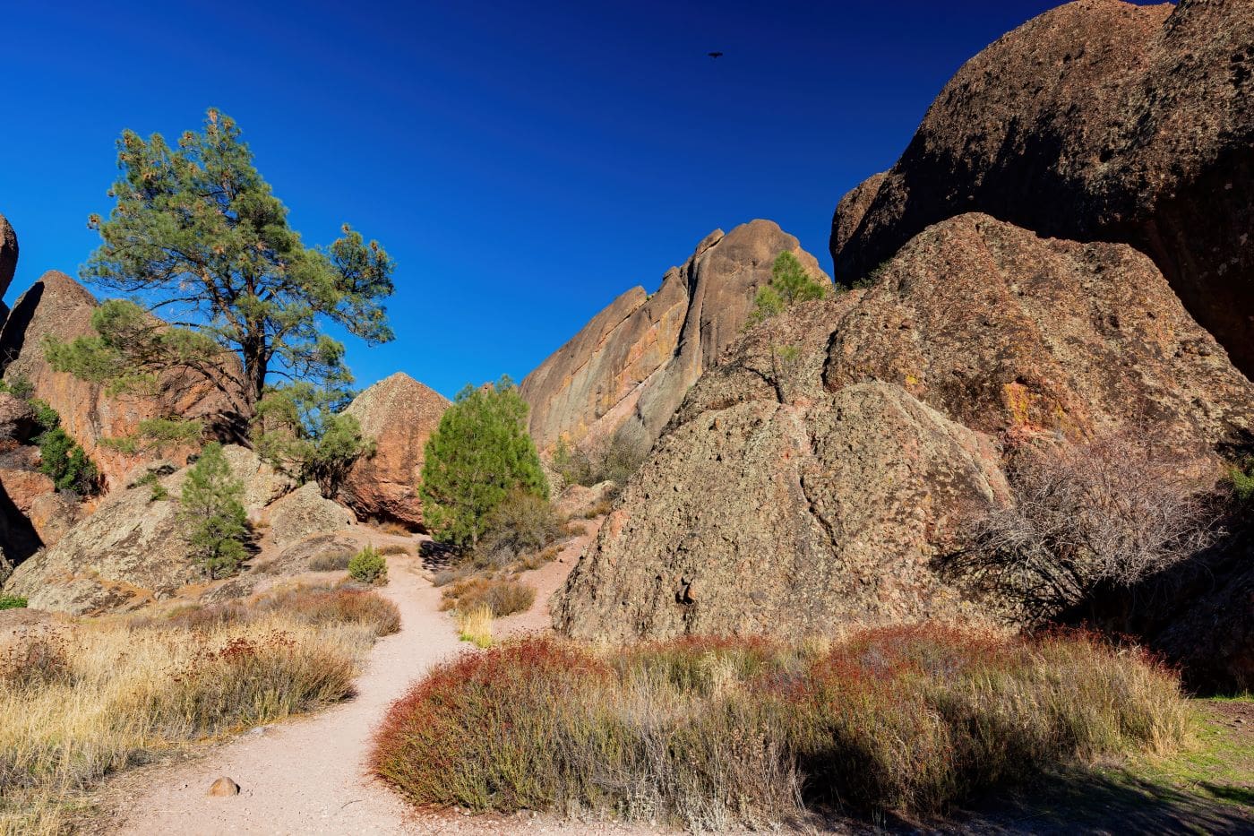 Pinnacles National Park california