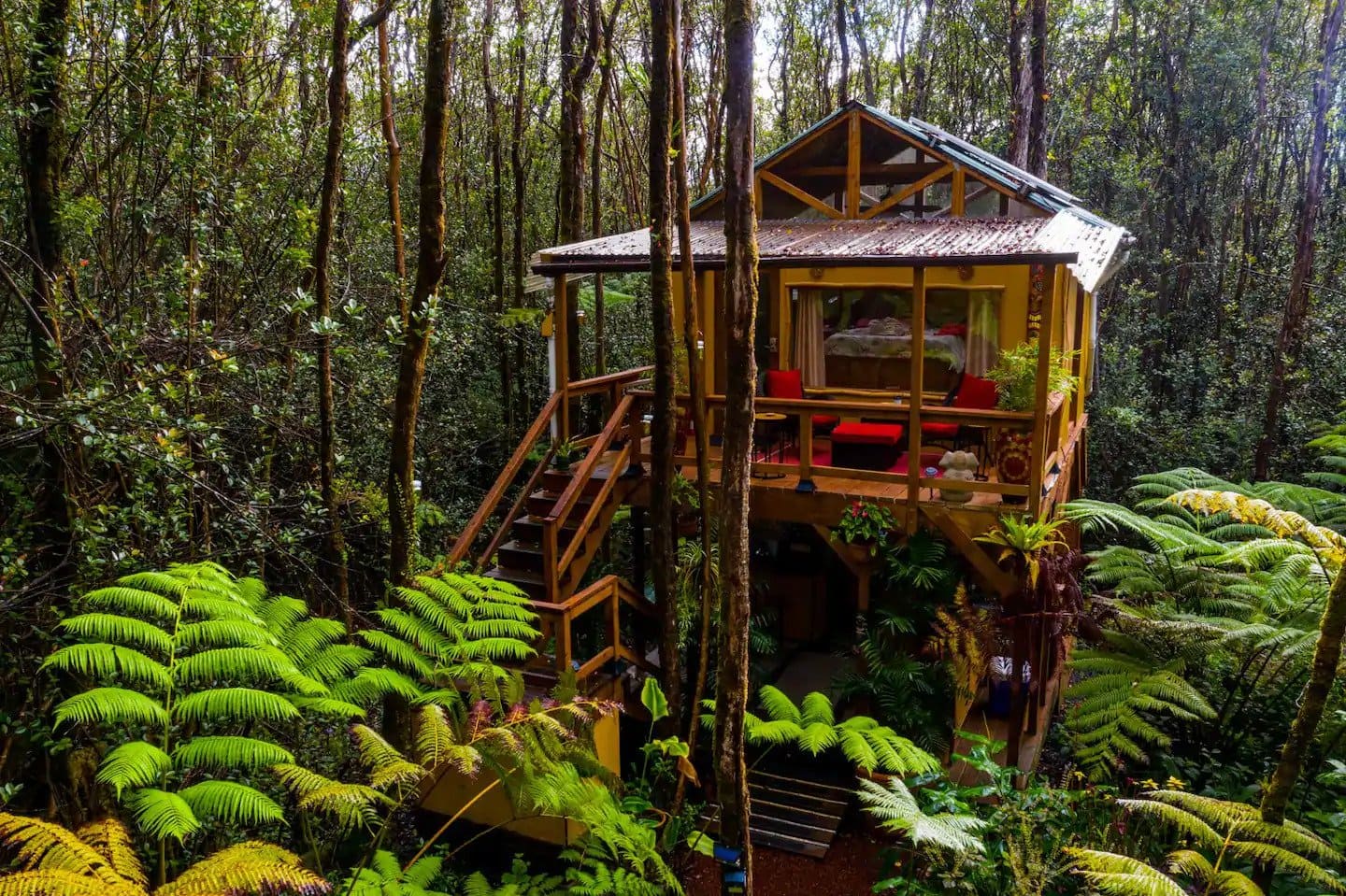 Rainforest Treehouse Retreat