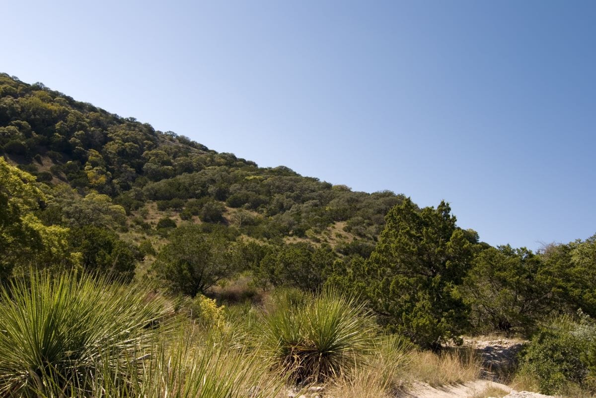 Hill Country State Natural Area texas