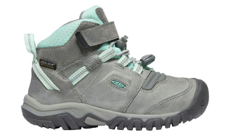 The 8 Best Hiking Boots for Toddlers in 2024 - Territory Supply
