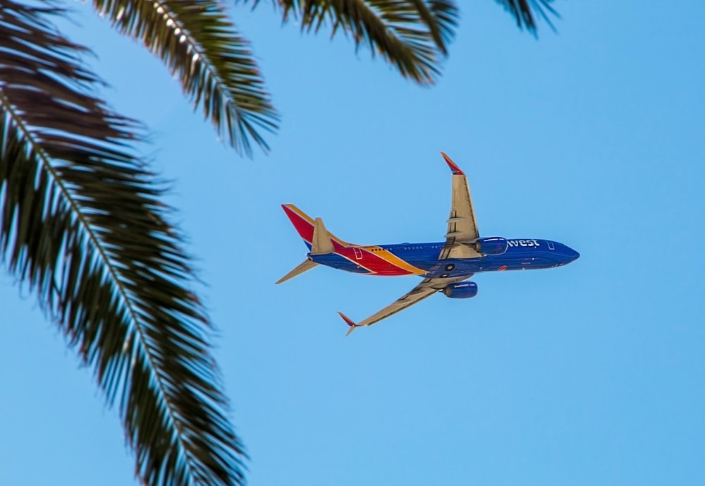 A Southwest jet soars through the air.