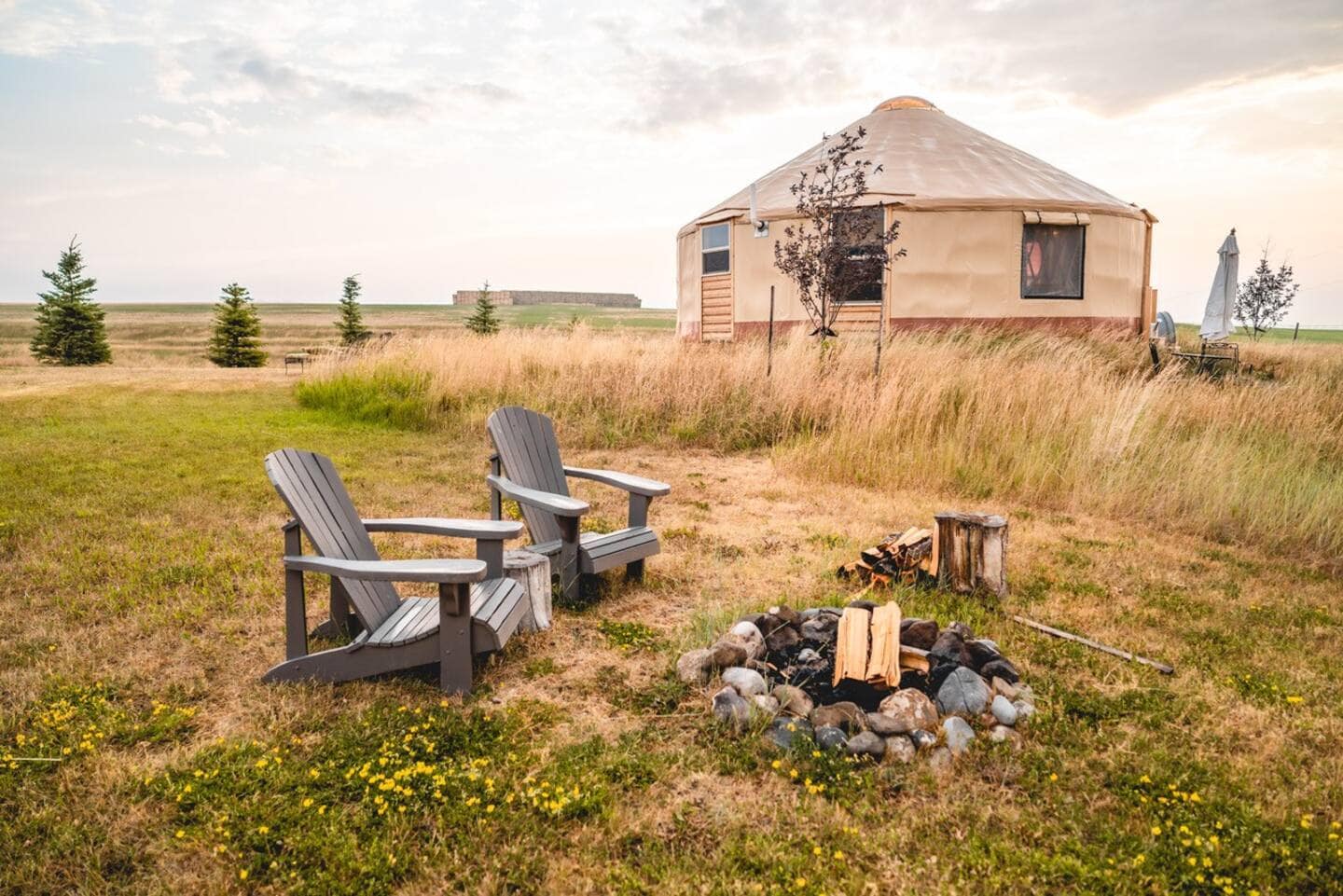 Wild+Wander yurt rental