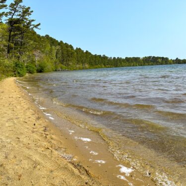 A shoreline of a lake with trees and a blue sky