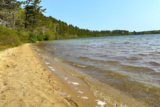 A shoreline of a lake with trees and a blue sky
