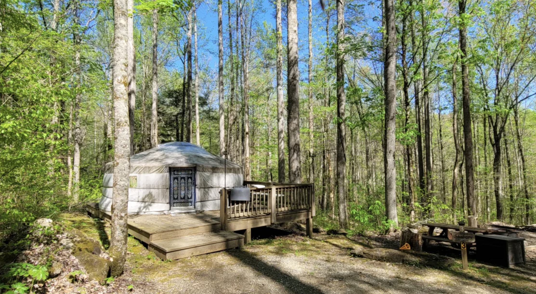 A yurt in the woods surrounded by trees in springtime