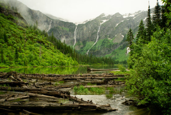 A free forest with mountains in the background at Avalanche Lake