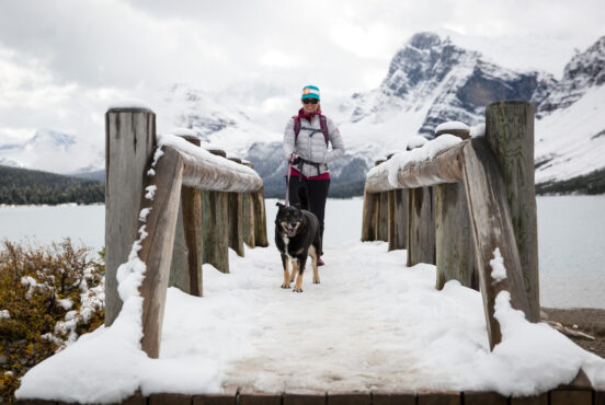 Hiking with a dog in the winter