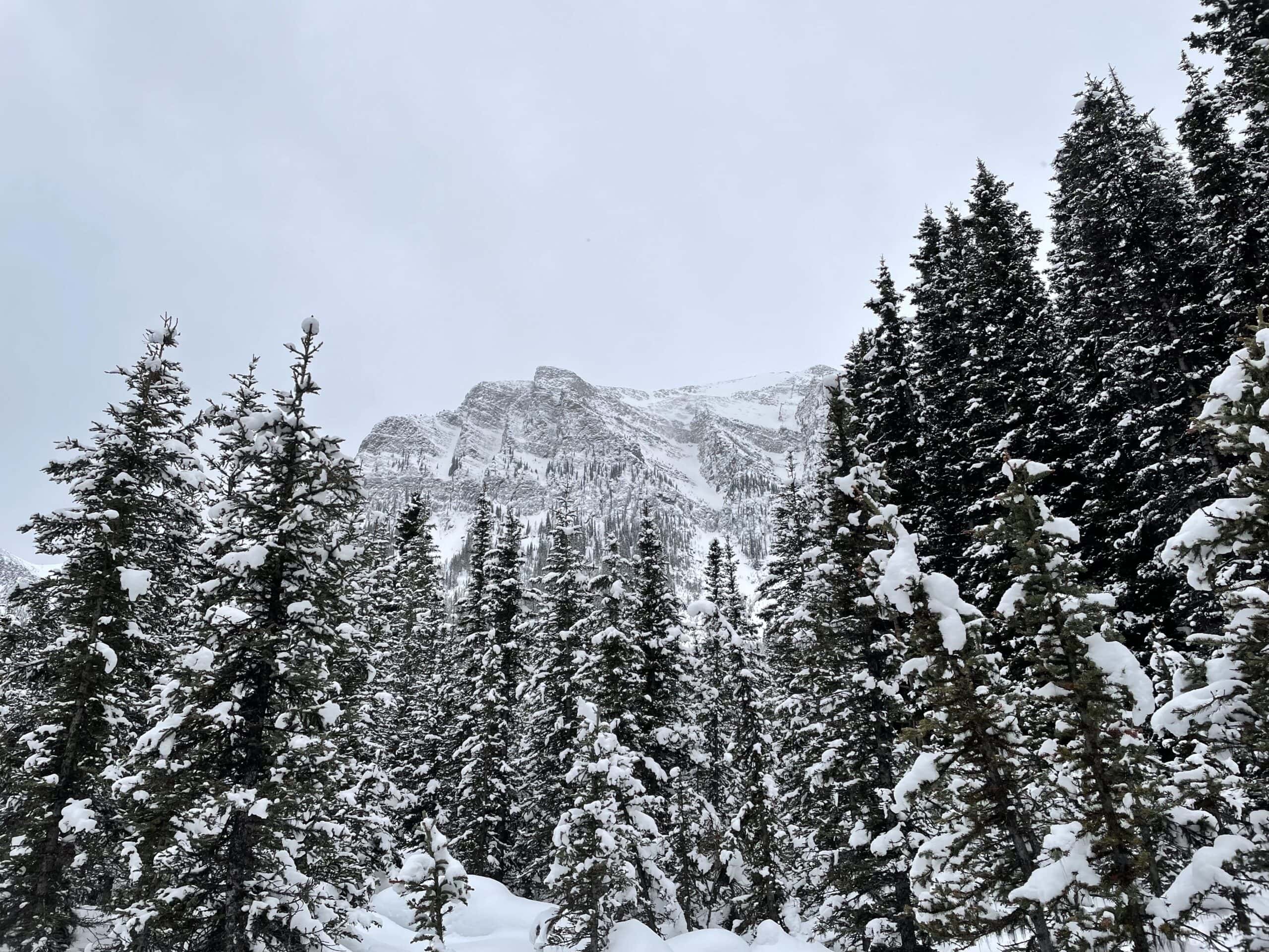 The snowy trails of Banff National Park are a perfect example of where layering for a hike is needed