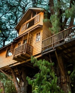 treehouse rentals