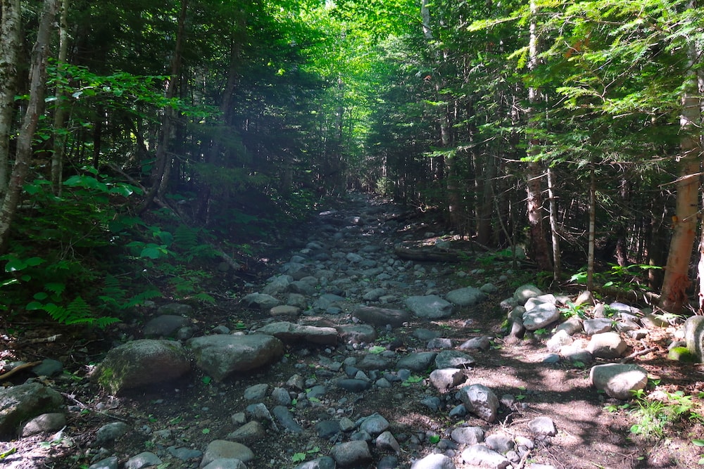 A stone-covered trail up Mt. Willard