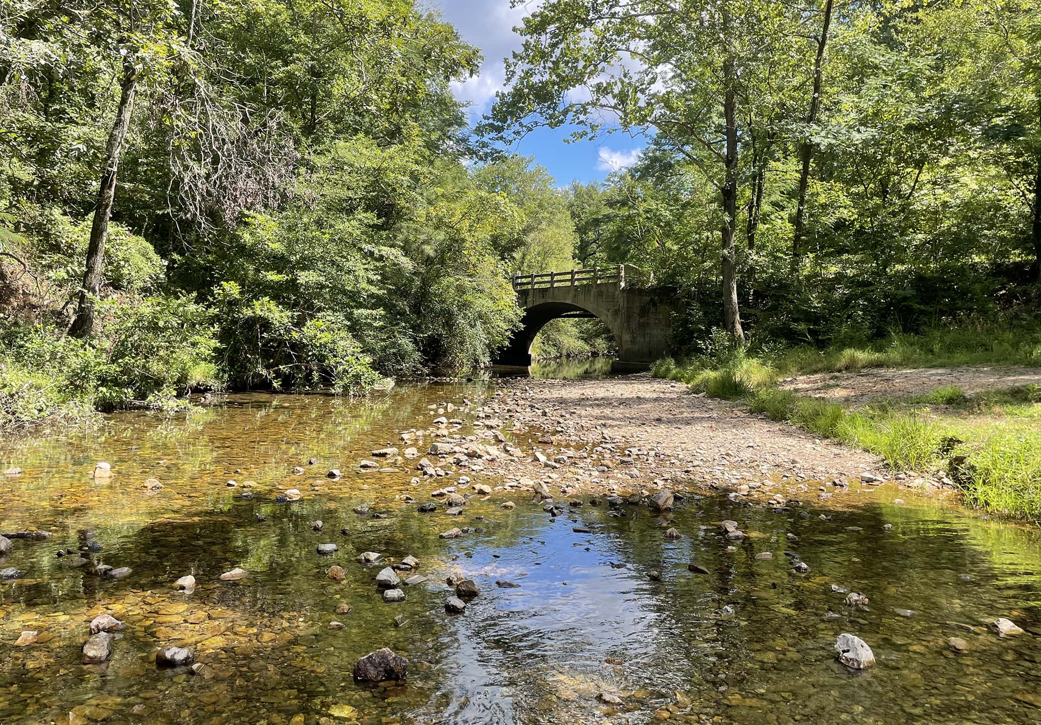 Creek at the Gulpha Gorge campground