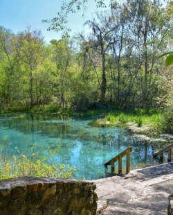 Ichetucknee Springs