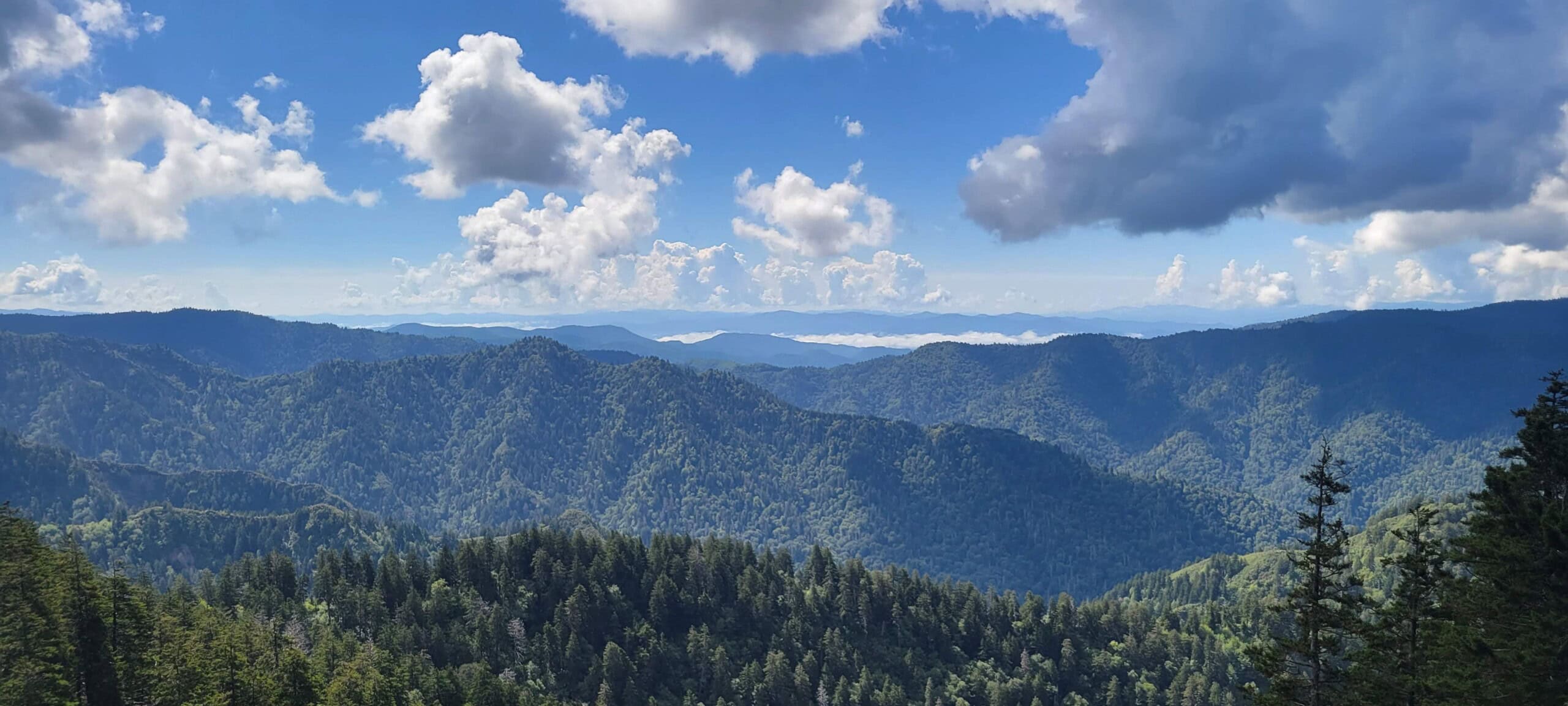 Alum Cave Trail