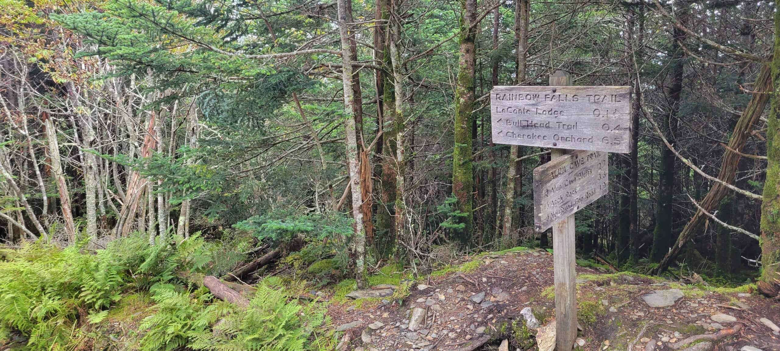 Alum Cave Trail